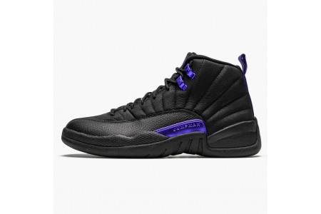 Latest Jordan 12 Retro Dark Concord CT8013-005 Shoes